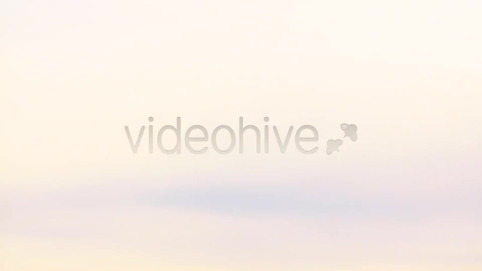 Plane Landing  Videohive 4973450 Stock Footage Image 1