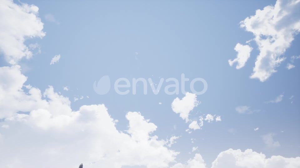 Plane Takes Off - Download Videohive 21541889