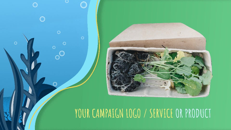 Plastic Wastes Alternatives & Recycling Campaign Logo Videohive 33031269 After Effects Image 10