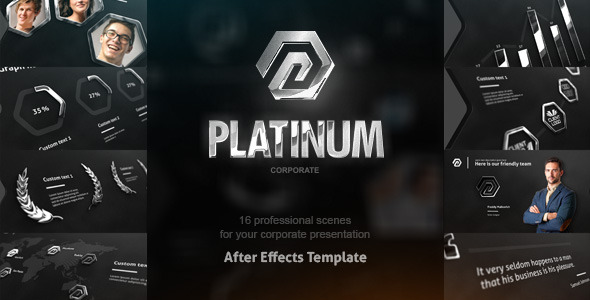 Platinum Corporate Package - Download Videohive 8209985