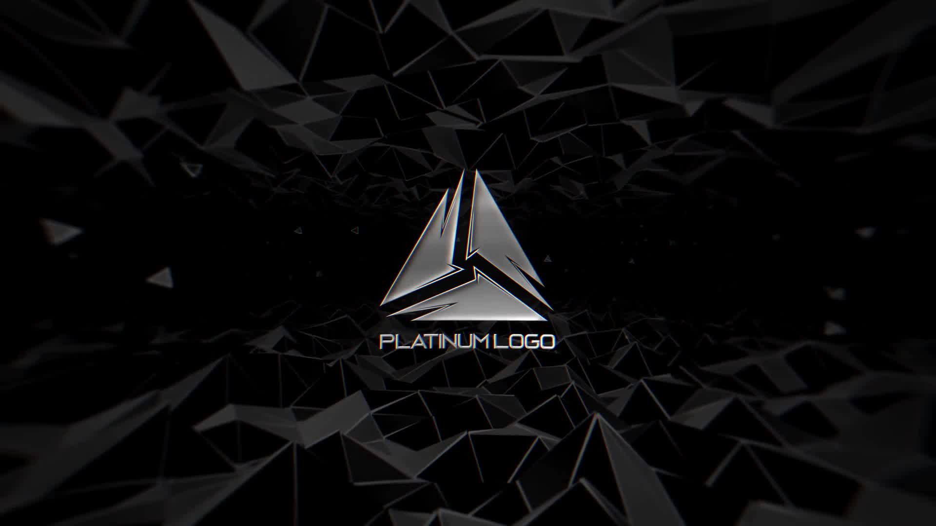 Platinum Logo Videohive 24745157 After Effects Image 8