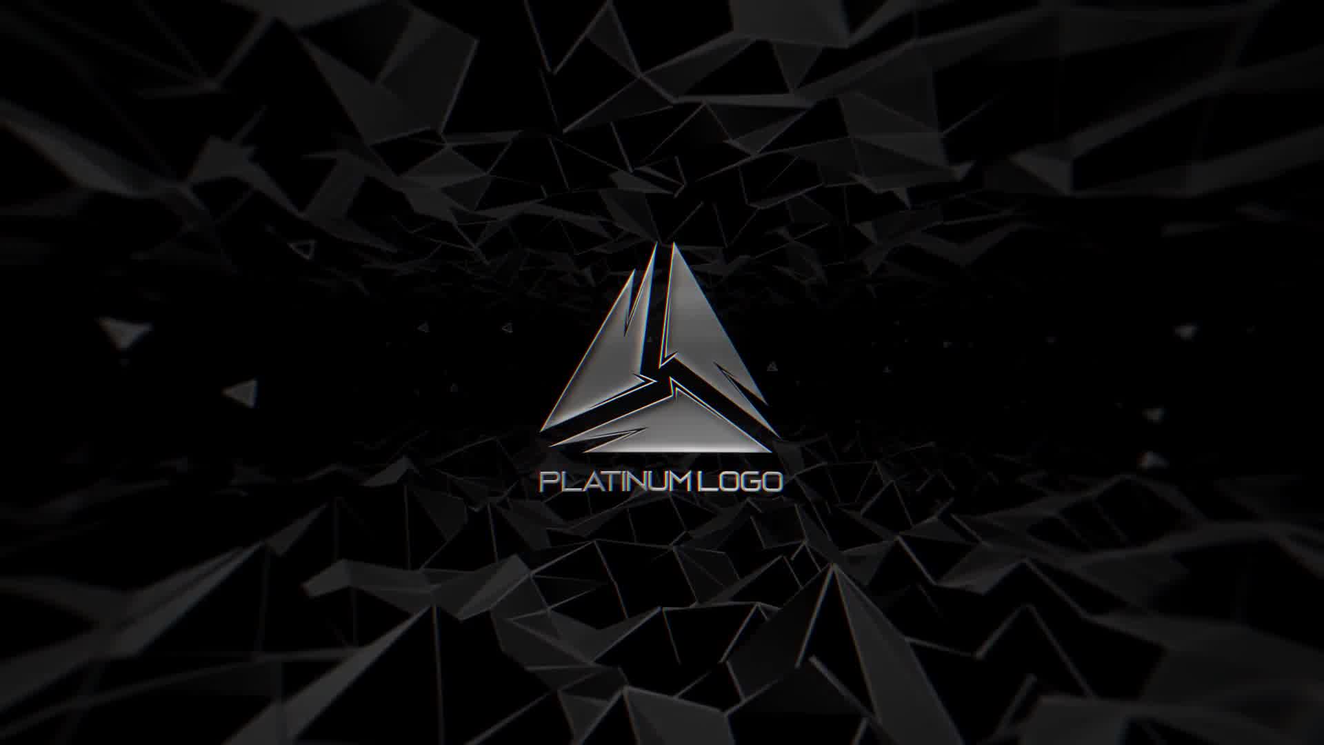 Platinum Logo Videohive 24745157 After Effects Image 9