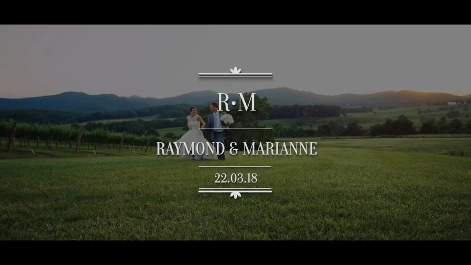 Platinum | Wedding Titles Pack - Download Videohive 17285978