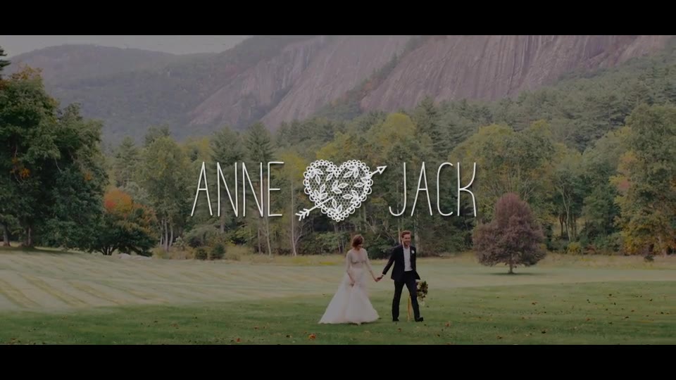 Platinum | Wedding Titles Pack - Download Videohive 17285978