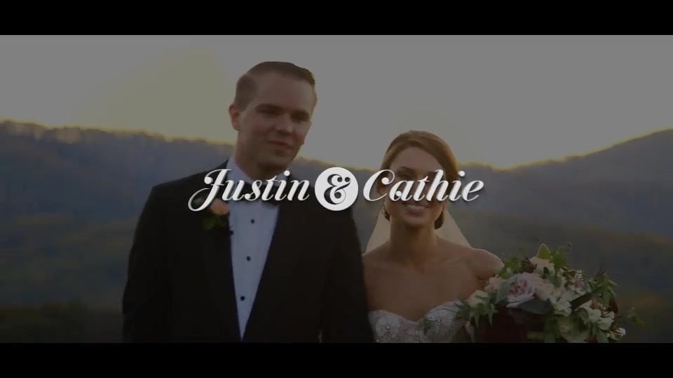 Platinum | Wedding Titles Pack - Download Videohive 17285978