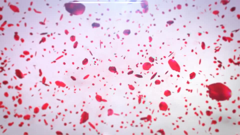 Playing Petals Logo Reveal Videohive 17466835 After Effects Image 2