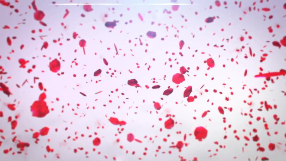 Playing Petals Logo Reveal Videohive 17466835 After Effects Image 3