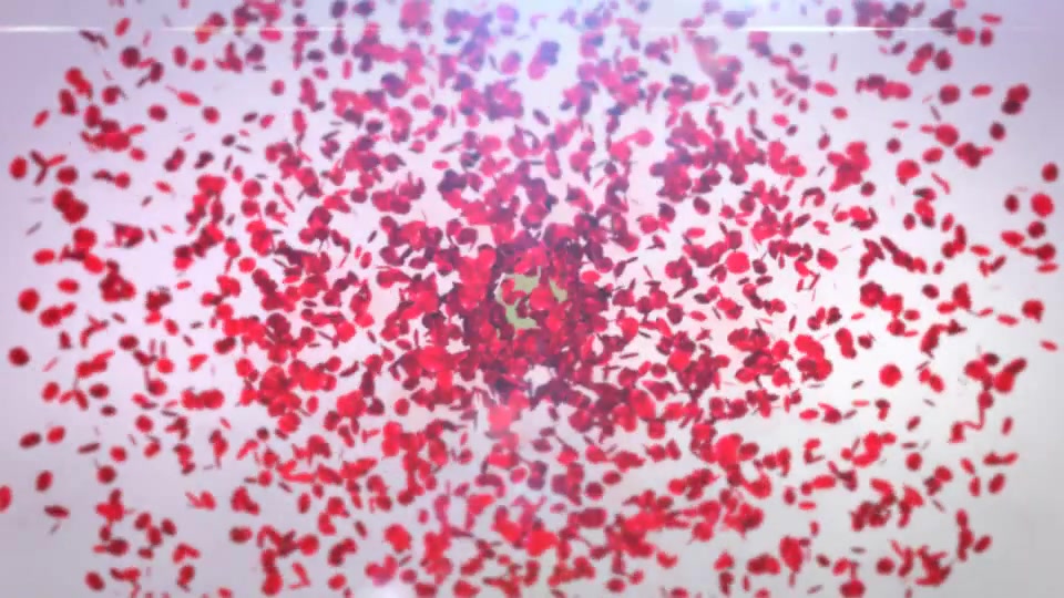 Playing Petals Logo Reveal Videohive 17466835 After Effects Image 5