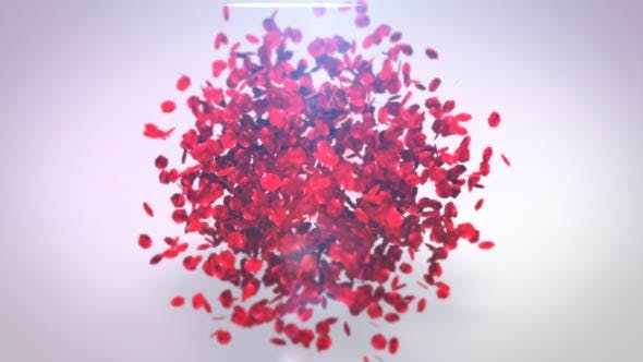 Playing Petals Logo Reveal - Videohive Download 17466835