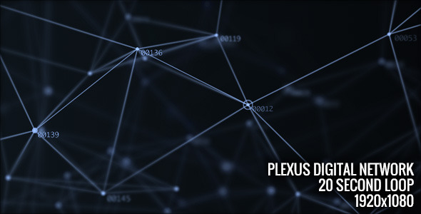 Plexus Digital Network - Download Videohive 13422212