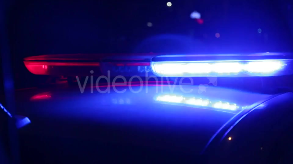 Police  Videohive 9778611 Stock Footage Image 10