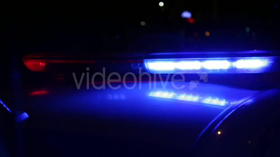 Police  Videohive 9778611 Stock Footage Image 11