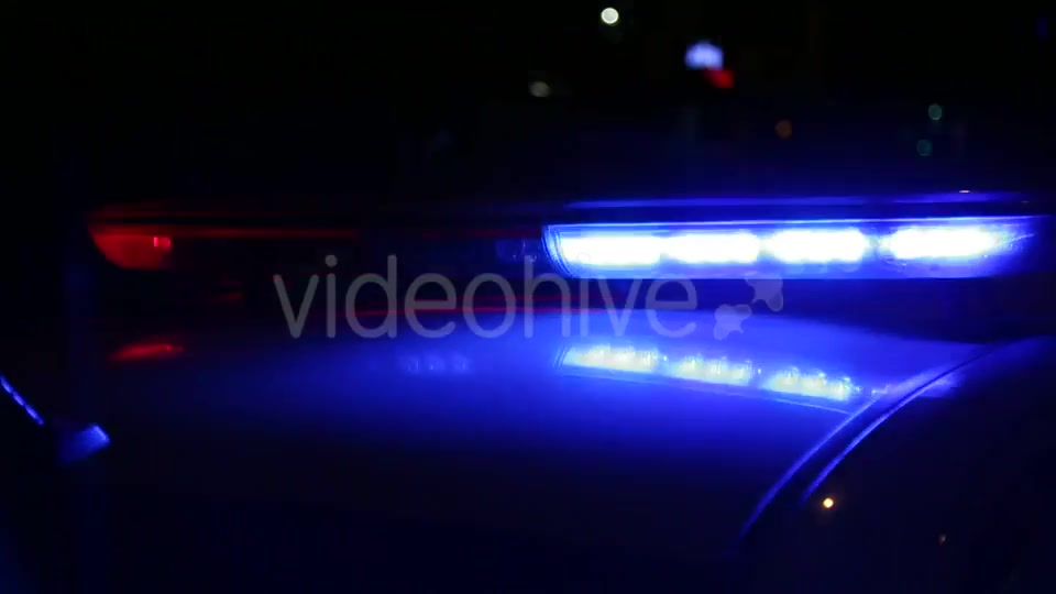 Police  Videohive 9778611 Stock Footage Image 8