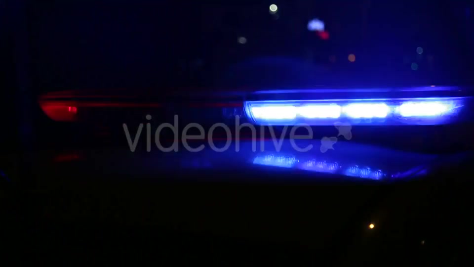 Police  Videohive 9778611 Stock Footage Image 9