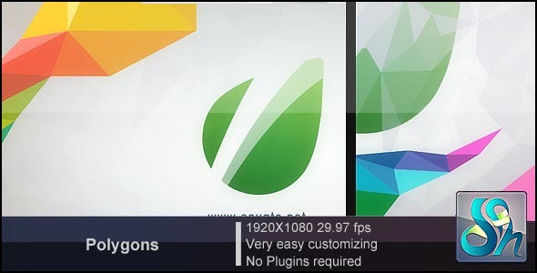 Polygon Download Videohive 2688392