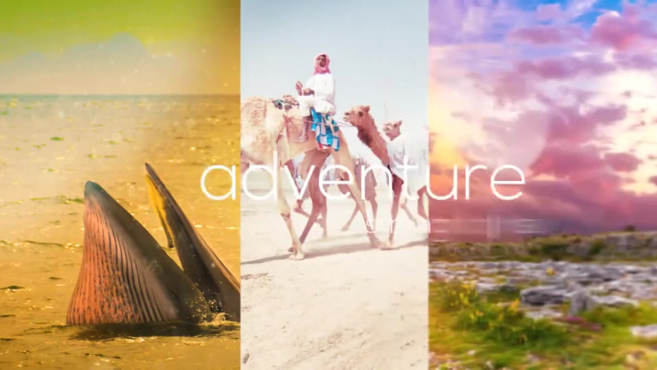 Portfolio Videohive 9956103 After Effects Image 5