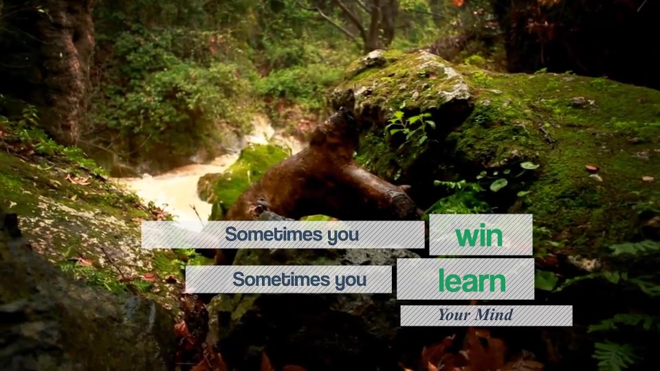 Power of Quotes Videohive 10000479 After Effects Image 4