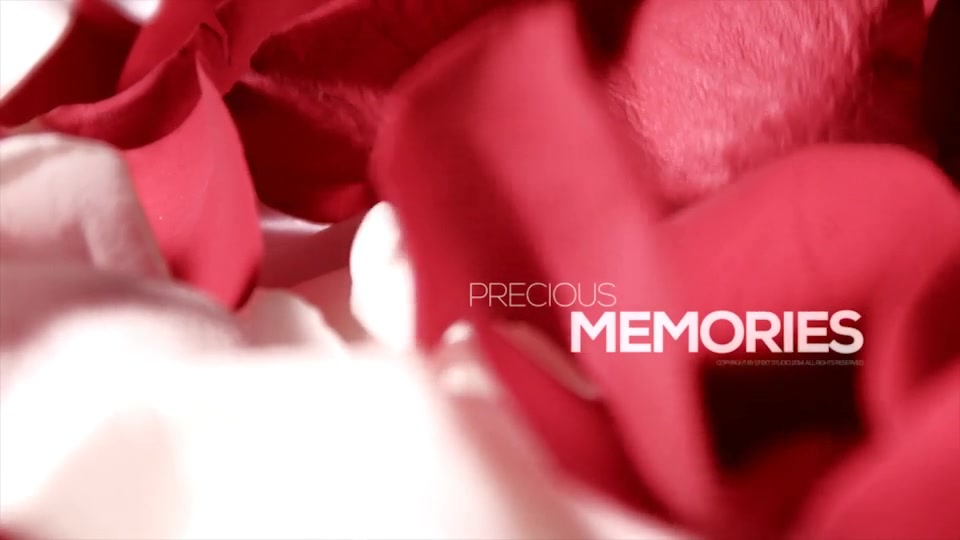 Precious Memories - Download Videohive 18948084