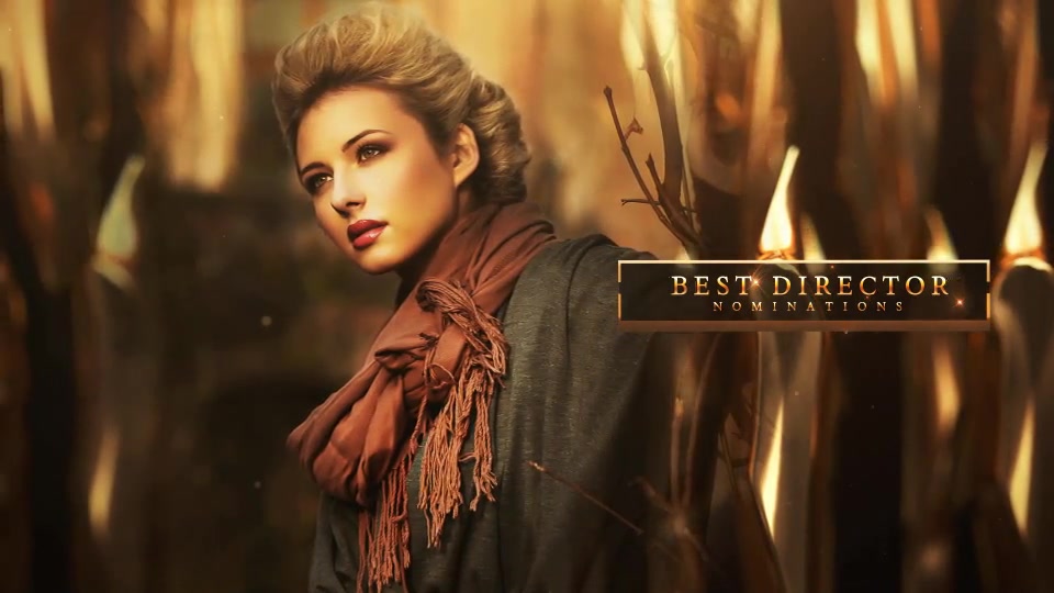 Premium Award Pack Videohive 21362418 After Effects Image 9