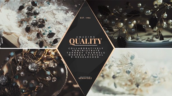 Premium Product Slides - Download Videohive 19278382