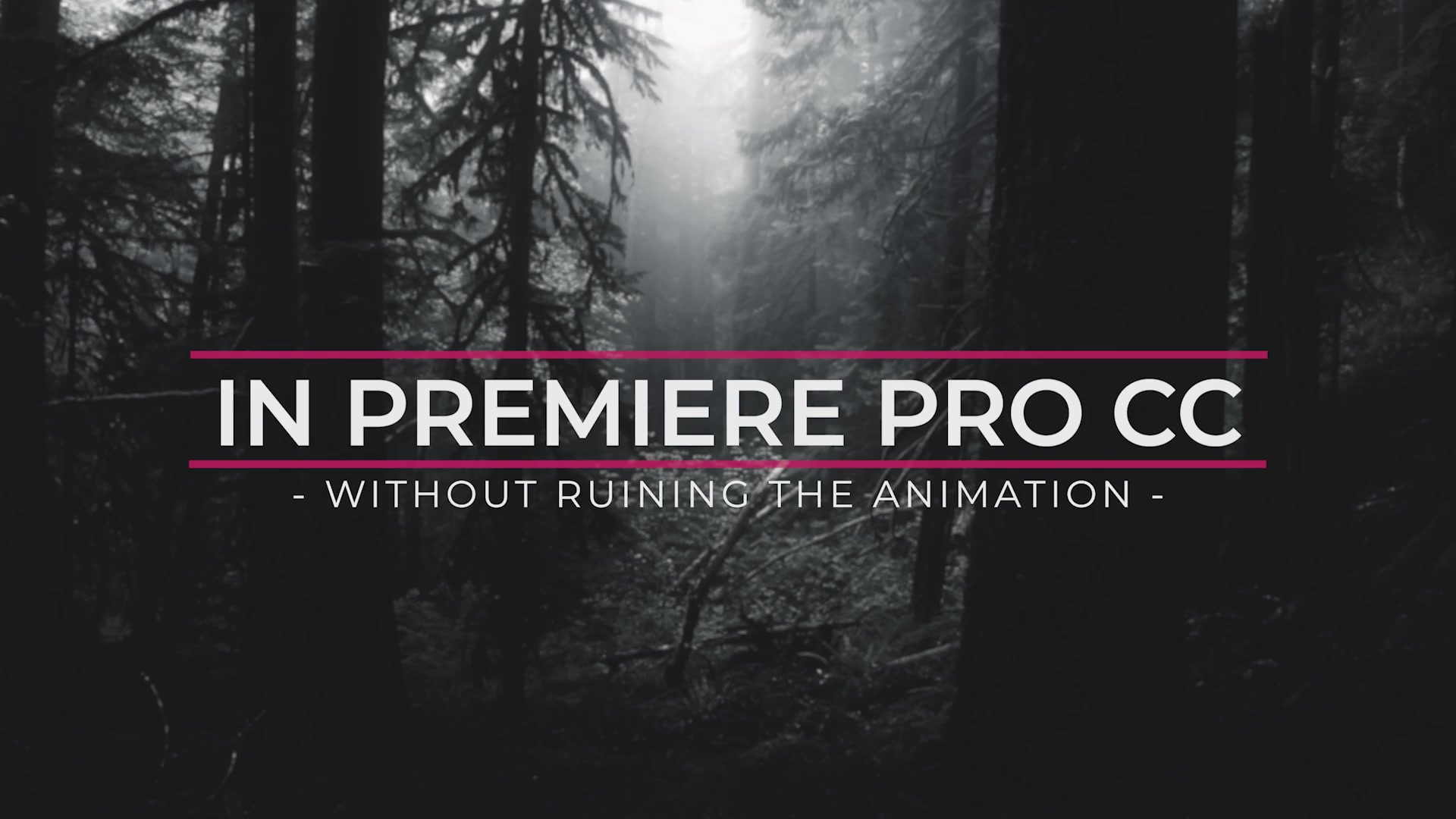 Pro Titles 4k Mogrt - Download Videohive 21973407