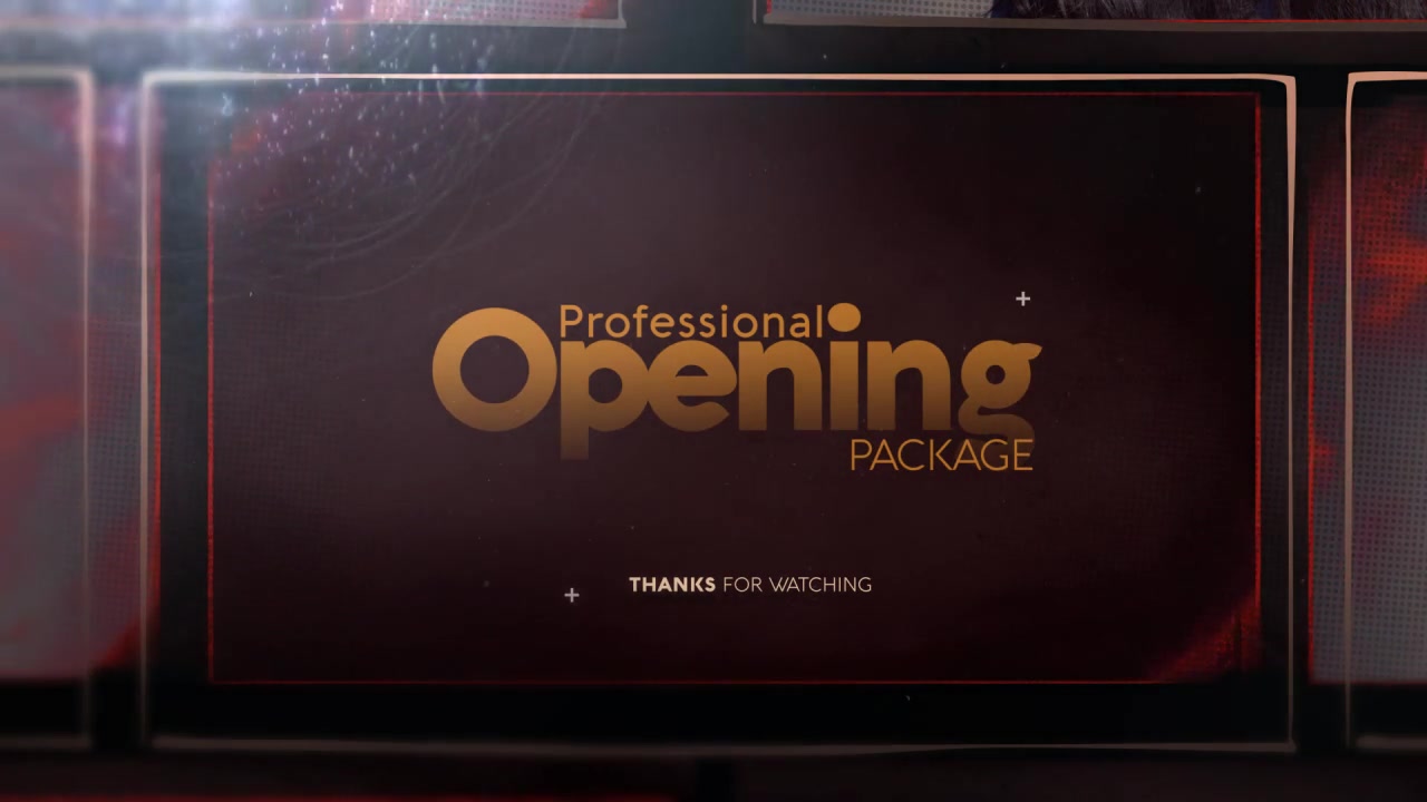 Professional Opening Package - Download Videohive 19318892