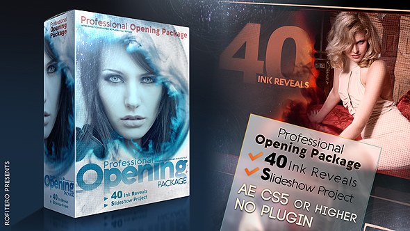 Professional Opening Package - Download Videohive 19318892