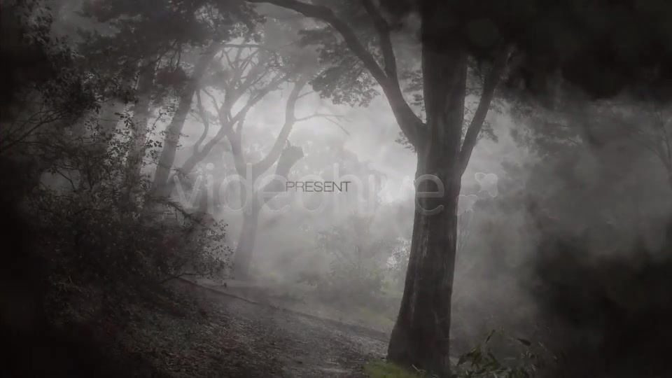 Project Ghosts - Download Videohive 3262956