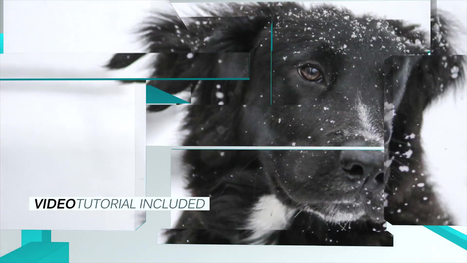 Projection Slideshow Videohive 15142150 After Effects Image 5