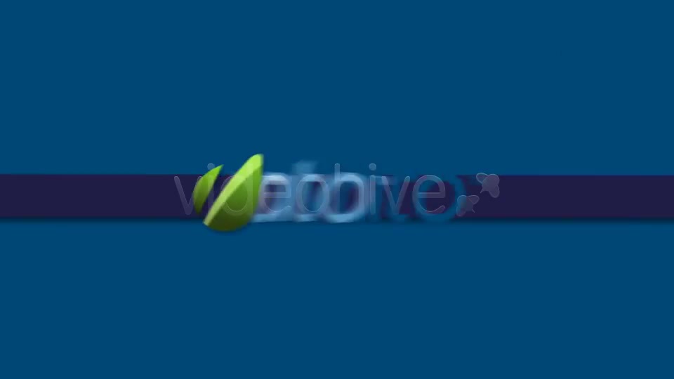 Promote Your Service or Business - Download Videohive 2474663