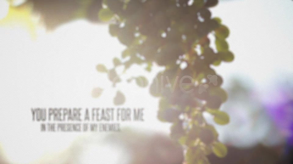 Psalm 23 - Download Videohive 5645406