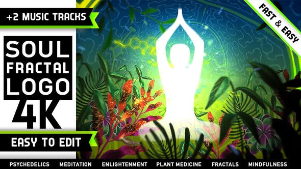 Psychedelic Fractals Logo - Download Videohive 24080759
