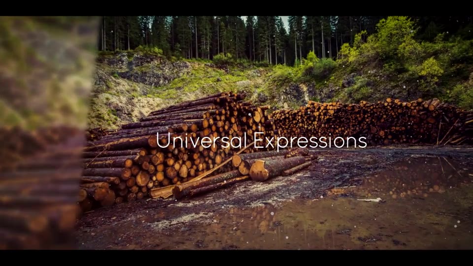 Pure Inspiration Videohive 13066449 After Effects Image 2