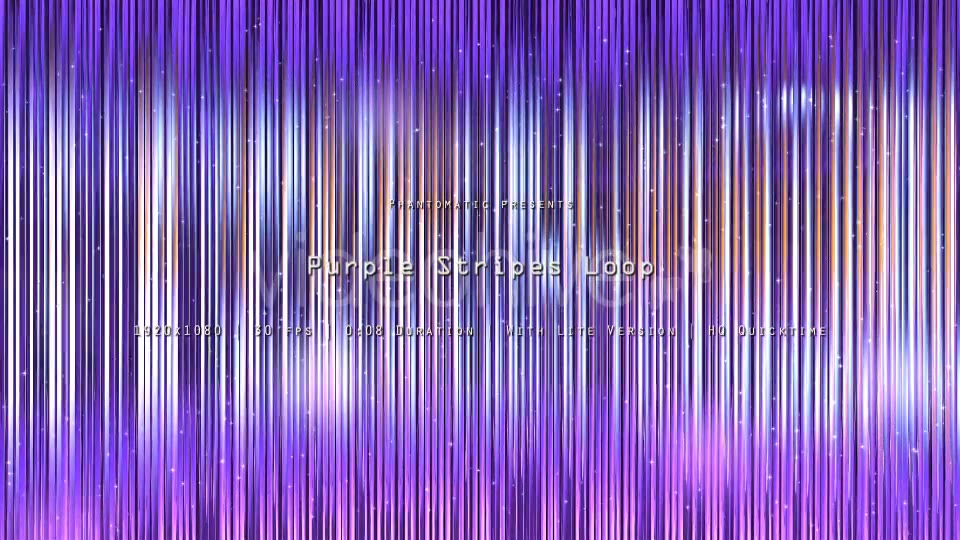 Purple Stripes Glitter 12 - Download Videohive 20873027