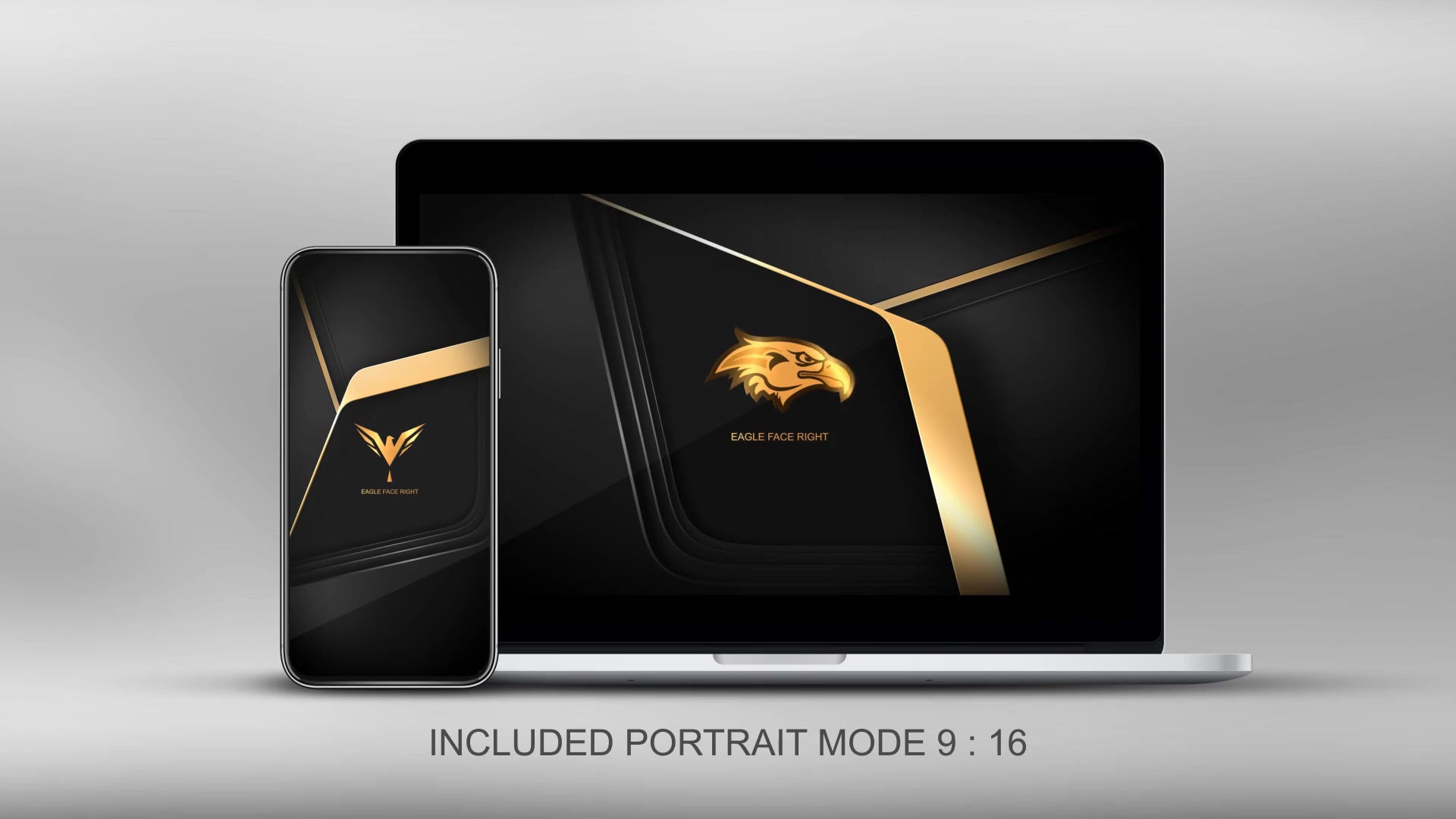 Quick Elegant Luxury Logo Videohive 25800997 After Effects Image 10