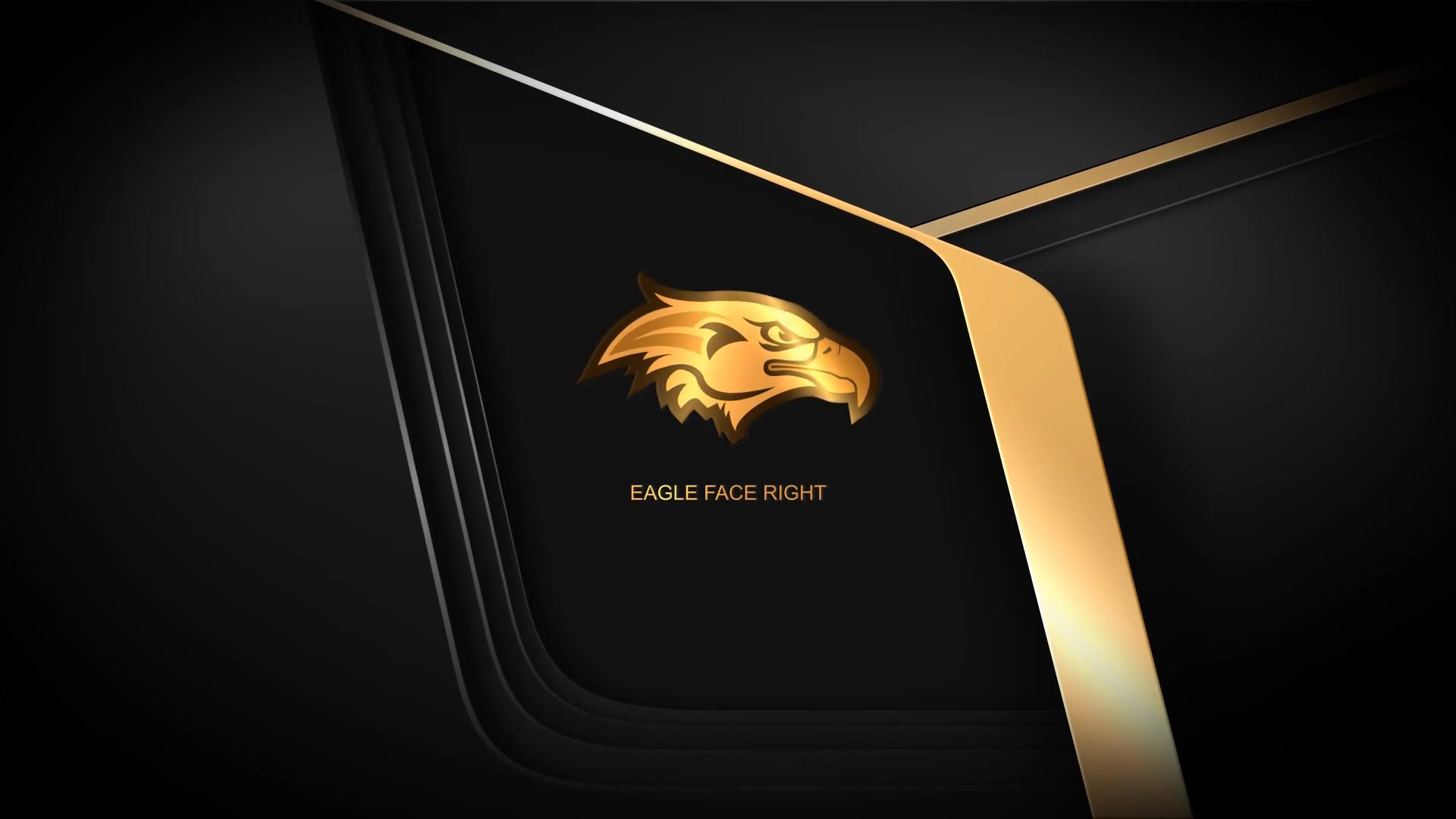 Quick Elegant Luxury Logo Videohive 25800997 After Effects Image 3