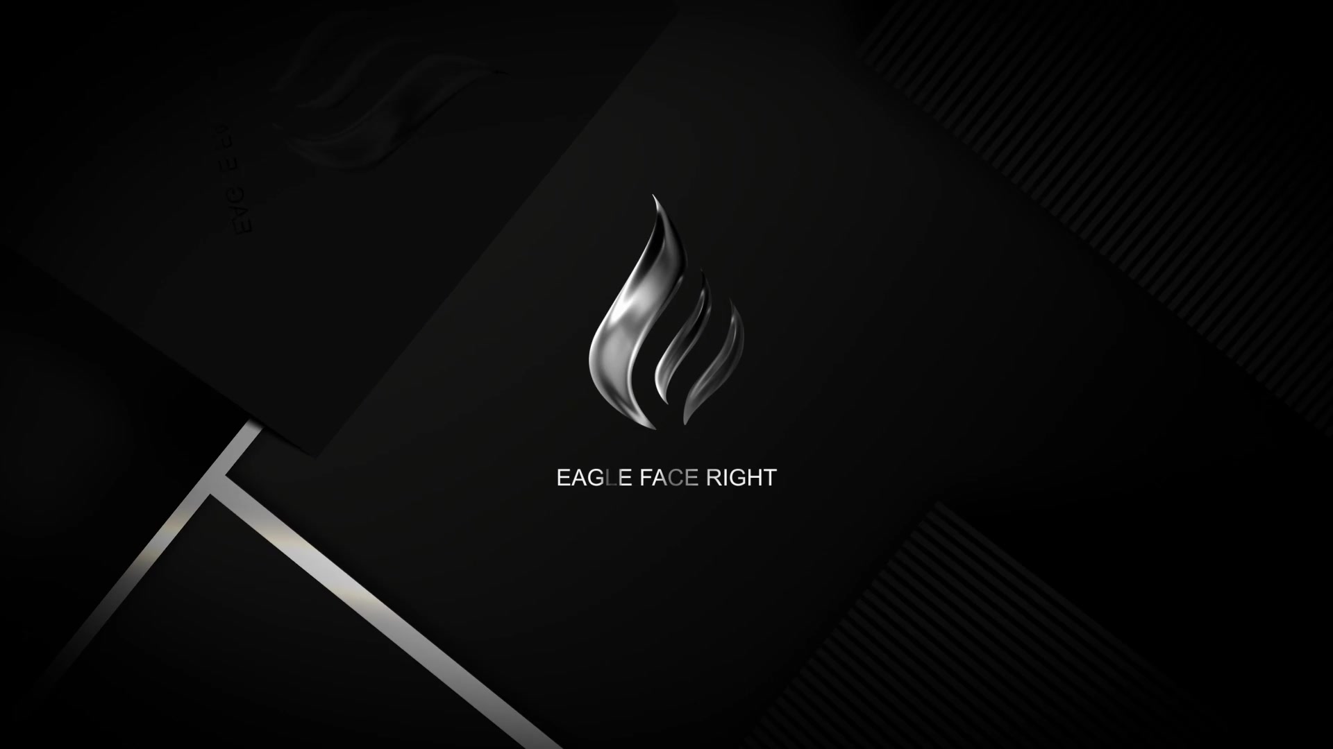 Quick Elegant Luxury Logo Videohive 25800997 After Effects Image 7