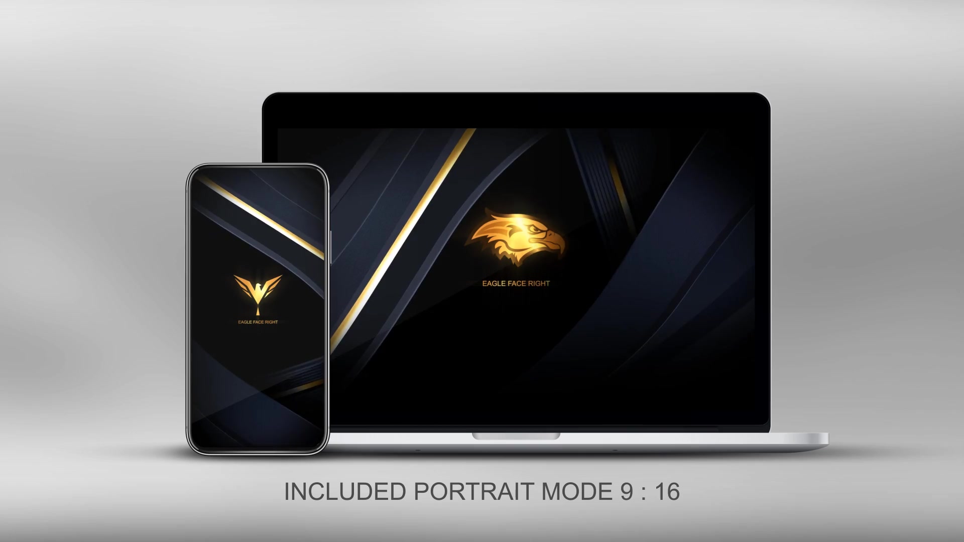 Quick Elegant Luxury Logo Videohive 25800997 After Effects Image 8