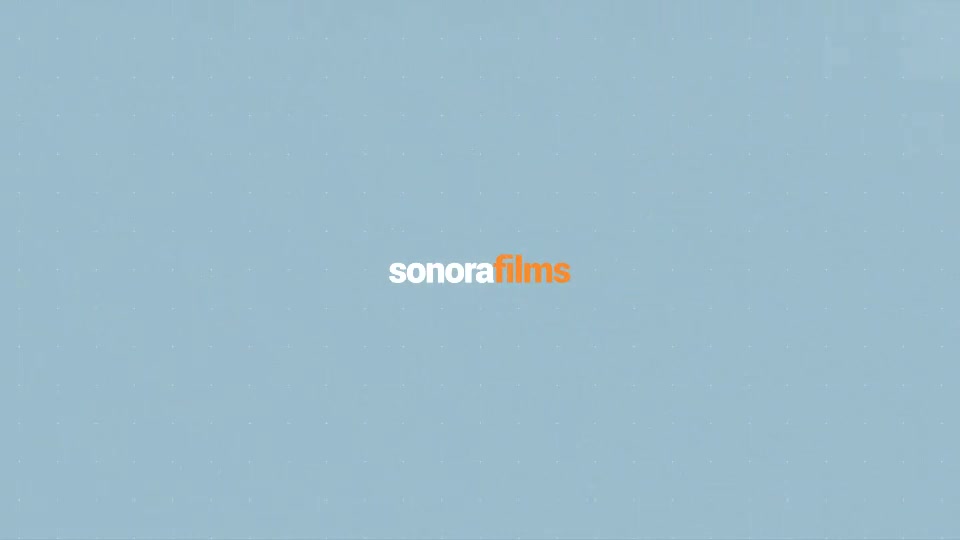 Quick Intros Bundle - Download Videohive 16230921