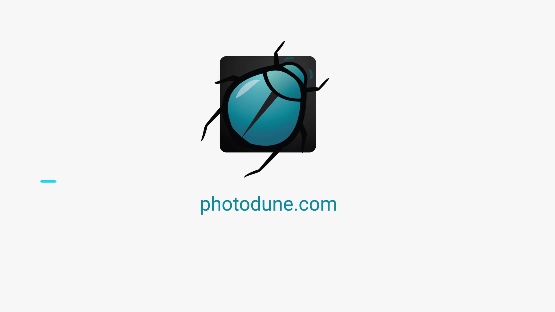 Quick Search Logo Reveal | For Premiere Pro Videohive 28333321 Premiere Pro Image 7