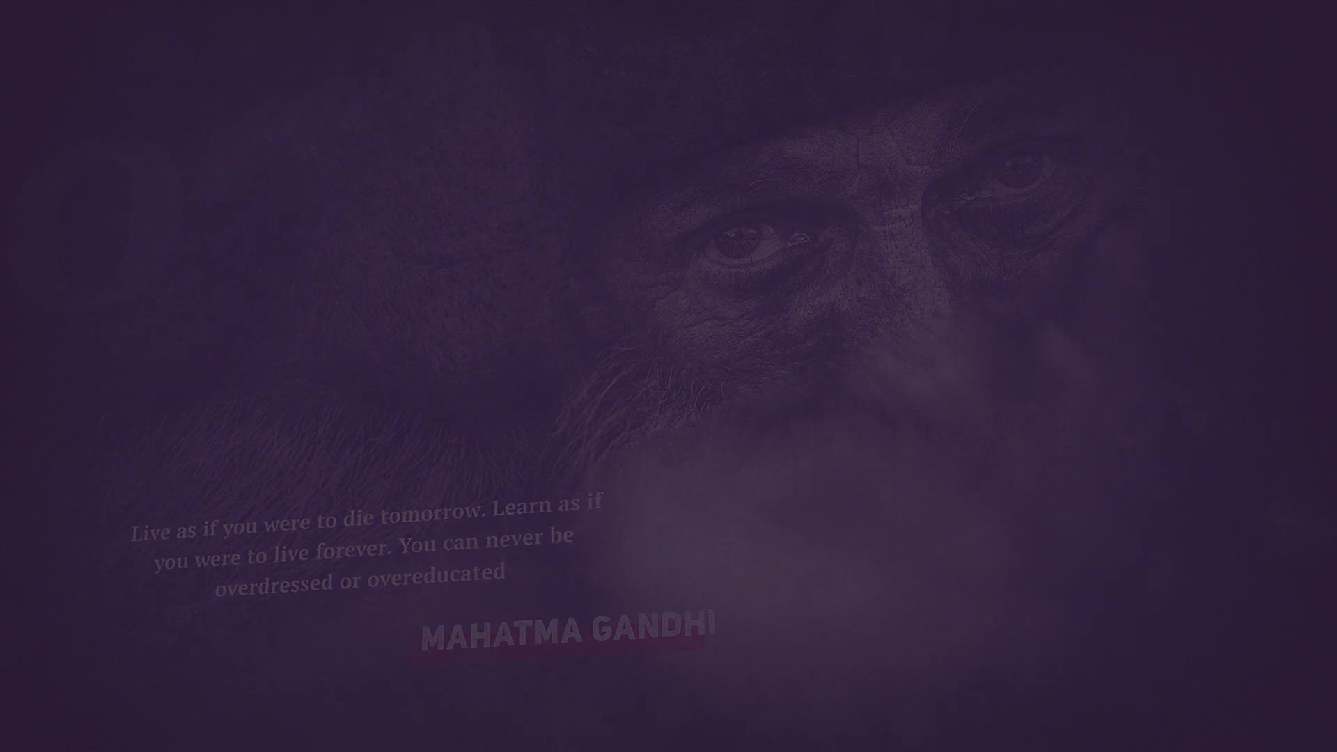 Quotes Slideshow Videohive 23333741 After Effects Image 13