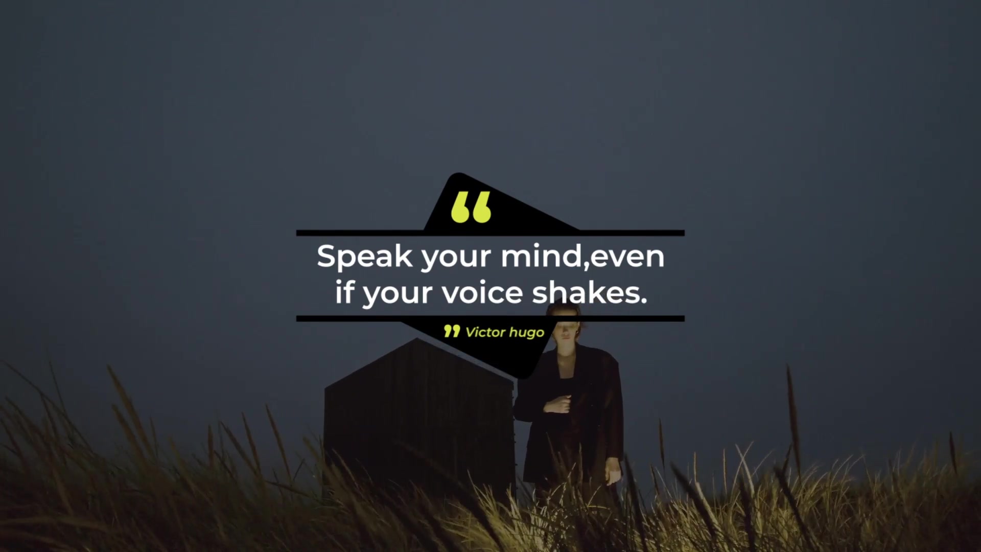 Quotes Titles 2.0 | After Effects Videohive 35062531 After Effects Image 9