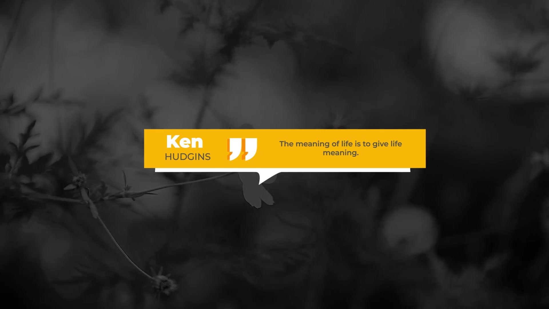 Quotes Titles Videohive 33278283 After Effects Image 10