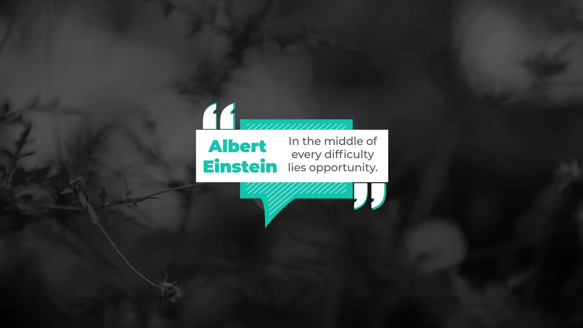 Quotes Titles Videohive 33278283 After Effects Image 4