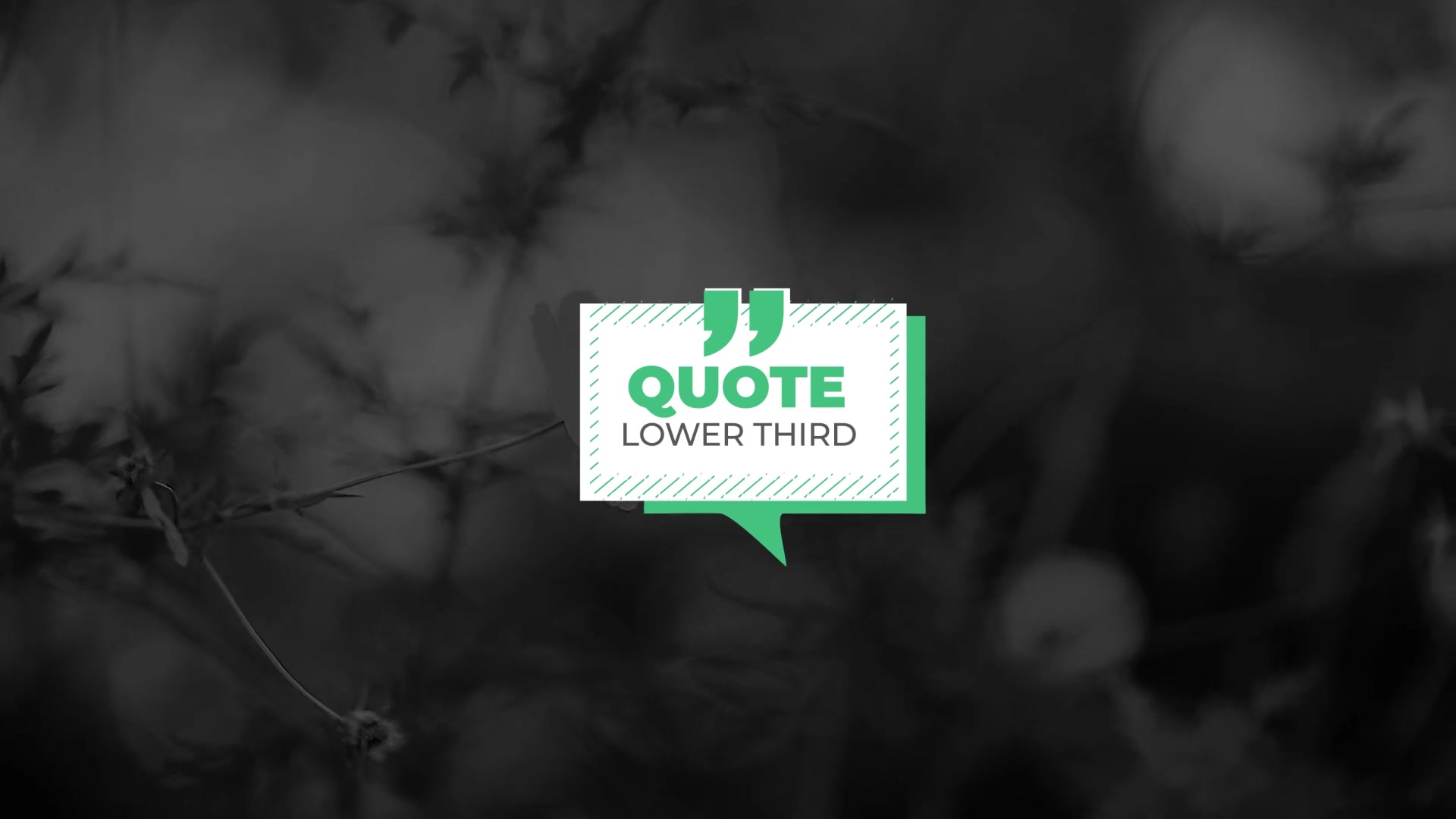 Quotes Titles Videohive 33278283 After Effects Image 9