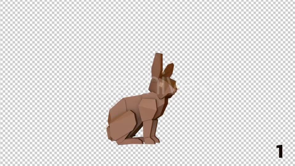 Rabbit Toy Animations - Download Videohive 21062530