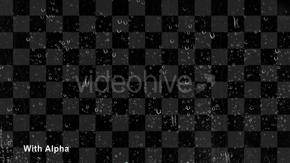 Rain  Videohive 17496561 Stock Footage Image 3