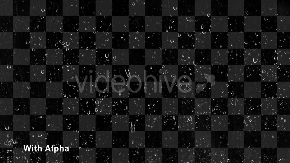 Rain  Videohive 17496561 Stock Footage Image 4