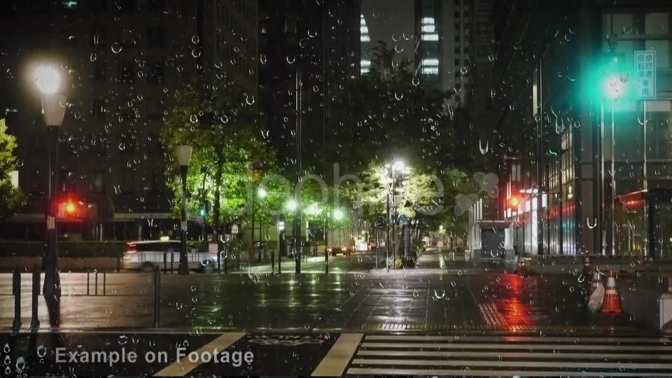 Rain  Videohive 17496561 Stock Footage Image 5