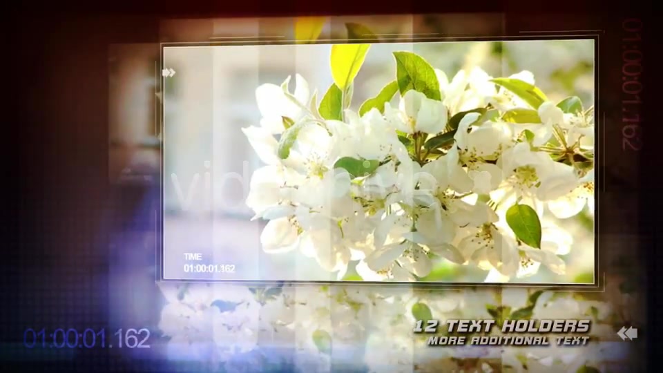 Raising Presentation Videohive 2269910 After Effects Image 8